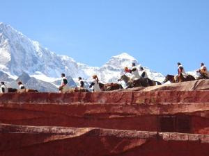 （圖）茶馬古道