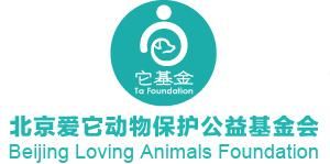 北京愛它動物保護公益基金會