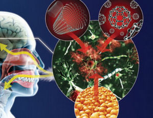 納米污染 納米污染