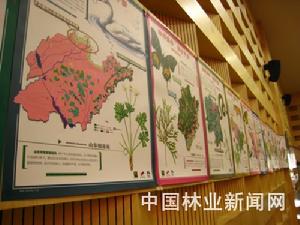 （圖）生物名片