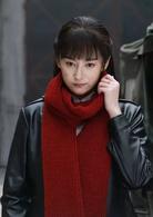 摧毀[2016年金曙執導電視劇]