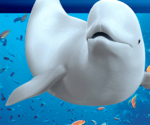 上海市長風公園