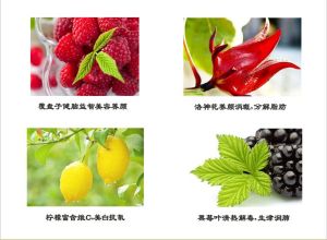 芙檸香花果茶成分圖