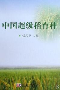 中國超級稻育種