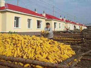 岔路子村 岔路子村