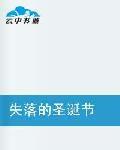 失落的聖誕節 失落的聖誕節