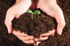 土壤陽離子交換量 土壤陽離子交換量