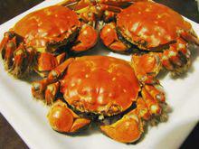 null[安徽省地級市]