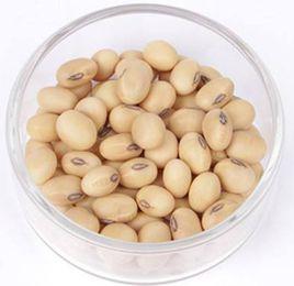 洪湖界牌黃豆 洪湖界牌黃豆