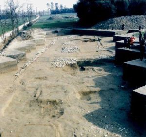 平原史前城址 平原史前城址