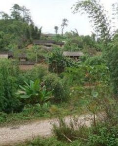 紅泥塘自然村 紅泥塘自然村