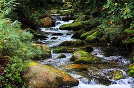 溪水[左河水的詩作]