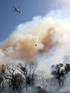 2月8日，在澳大利亞悉尼以北的森林火災現場，一架直升飛機拋投“水彈”滅火。