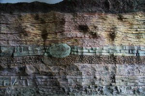 地層大區 地層大區