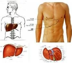 膽酶分離現象 膽酶分離現象