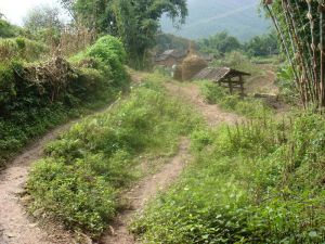 囉妮自然村 囉妮自然村