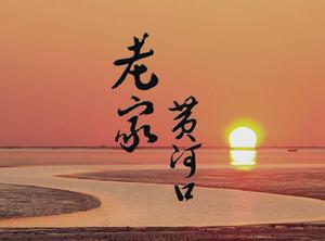 老家黃河口 老家黃河口