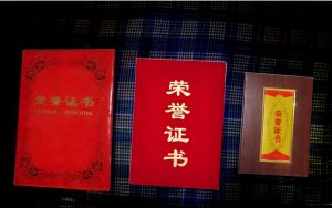 美侖美克集團獲獎證書