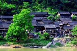 毛岸苗村 毛岸苗村