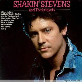 because i love you[Shakin Stevens演唱歌曲]