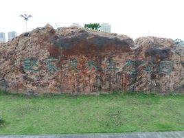 趙家渡水生態公園 趙家渡水生態公園