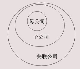 母公司 母公司