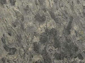 白楊金 | Golden Aspen |