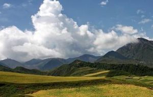 樂都南山 樂都南山
