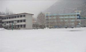 周家壩國小 周家壩國小