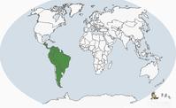 南美田雞屬分布圖