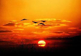 落霞與孤鶩齊飛,秋水共長天一色 落霞與孤鶩齊飛,秋水共長天一色