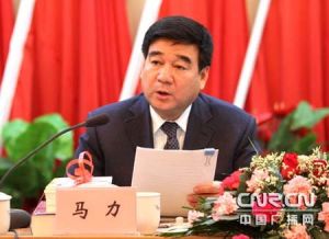 馬力[寧夏回族自治區副主席]