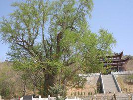 冠山旅遊區 冠山旅遊區