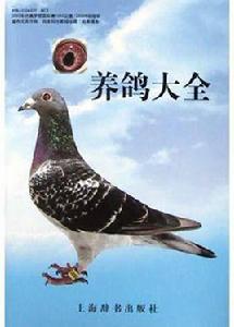 養鴿大全 養鴿大全