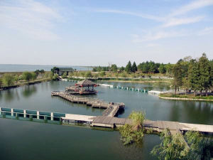 白沙洲自然保護區 白沙洲自然保護區