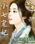 《小七寵妃》