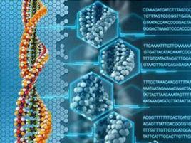 腫瘤個體化治療 腫瘤個體化治療