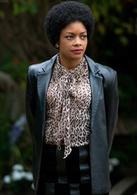 曼德拉：漫漫自由路[賈斯汀·查德維克執導電影(2013)]