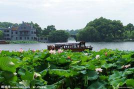風荷曲苑 風荷曲苑