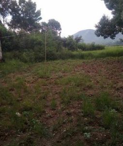 北山革命根據地 北山革命根據地