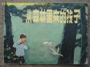 從森林裡來的孩子 從森林裡來的孩子