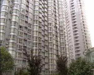 綠洲銀郡 綠洲銀郡