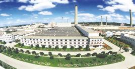 中國碳谷 中國碳谷