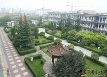 武安十中 武安十中