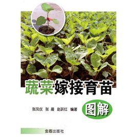蔬菜嫁接育苗圖解 蔬菜嫁接育苗圖解