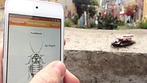 機器蟑螂 機器蟑螂