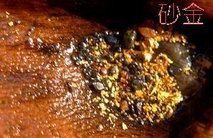 細粒砂金礦