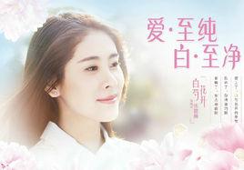 白芍花開 白芍花開