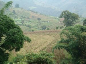 奪弄自然村 奪弄自然村