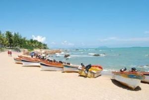 海域使用權 海域使用權